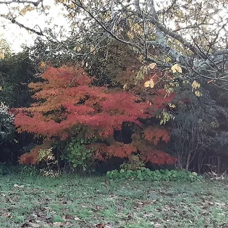 Maison De Caractère Hébergement de vacances Ballon-Saint-Mars