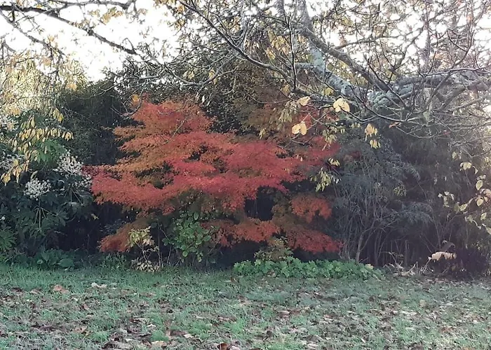 Maison De Caractere Dom wakacyjny Ballon-Saint-Mars