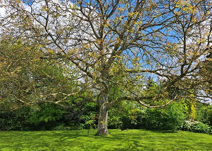 Maison De Caractere *